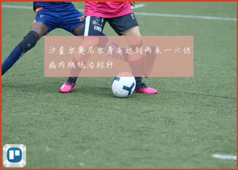沙奎尔奥尼尔身高达到两米一六仍成内线统治标杆