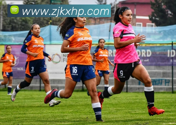 星空官方网站平台发展历程